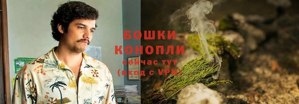 дживик Баксан
